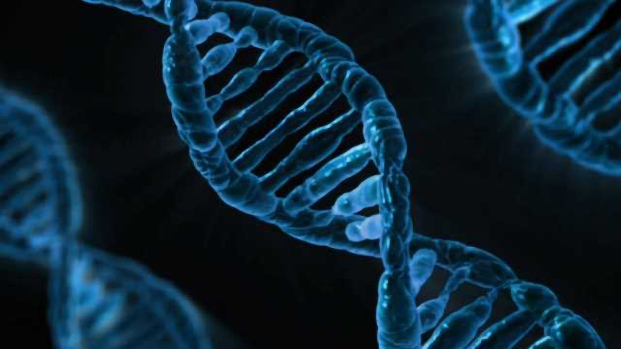 Identical Mutation, Different Symptoms: Researchers Outline 'Modified Penetrance' Hypothesis