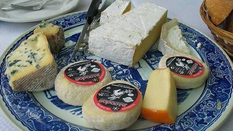 The Microbiology of Cheese