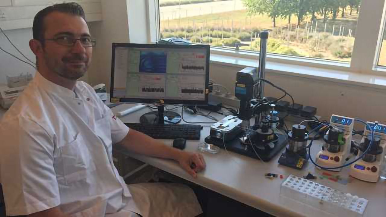Exploring Personalized Treatments for Bladder Cancer with scRNA-seq