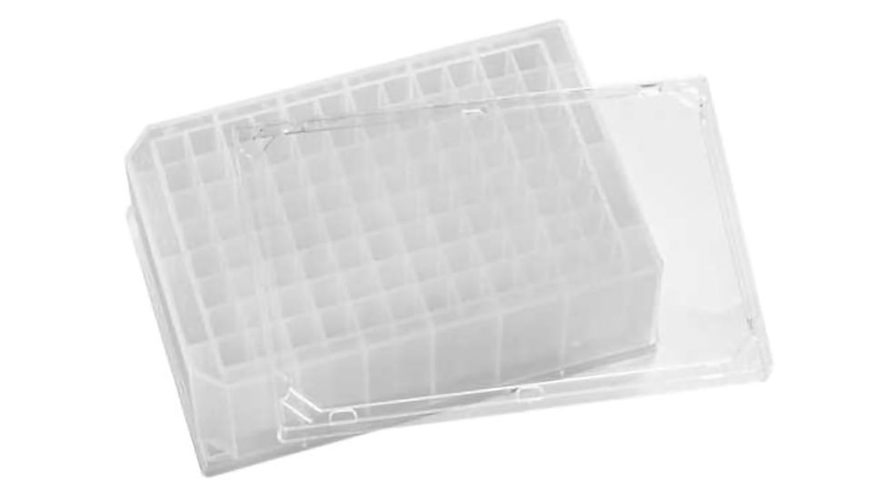 Automation Friendly Cell Growth Microplates content piece image