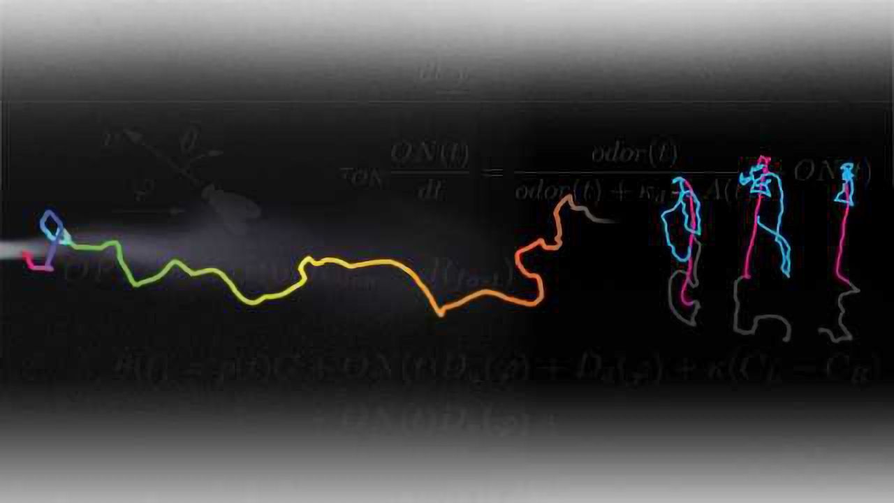 How The Brain Helps Animals Hunt For Food