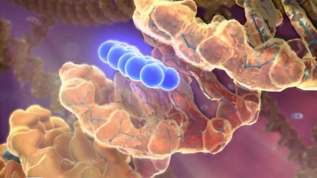 IncellDx Launches BioINK PD-L1 CTC Core Kit with Lyophilized CTC Control Cells for Microfluidic Liquid Biopsies