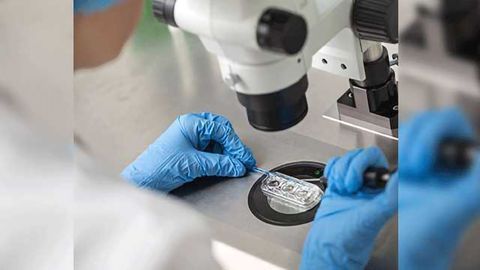 For Women Undergoing IVF, Is Fresh or Frozen Embryo Transfer Best?