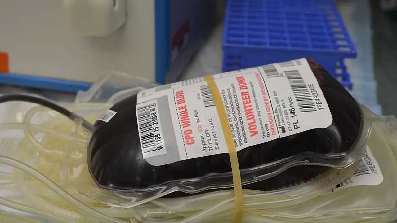 Gut Bacteria Hold the Key to Creating Universal Blood