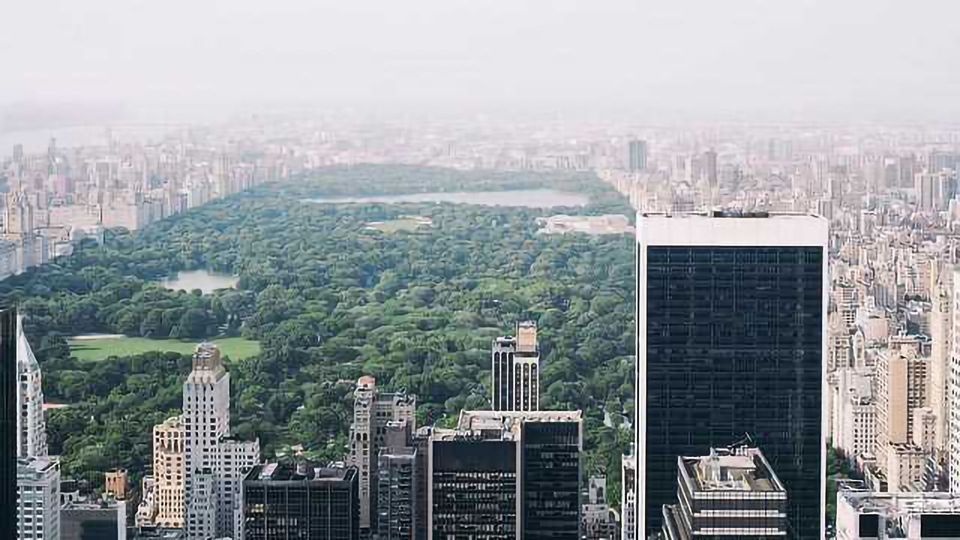 Living Close to Urban Green Spaces Linked with a Decreased Breast Cancer Risk content piece image