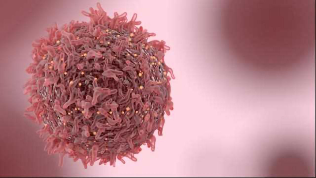 Drug Combination Gives ‘Exciting’ Results in Ovarian & Lung Cancer in Early Trial