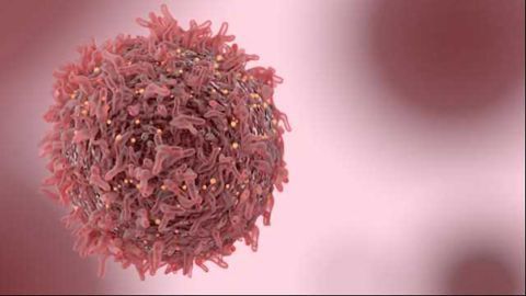Drug Combination Gives ‘Exciting’ Results in Ovarian & Lung Cancer in Early Trial