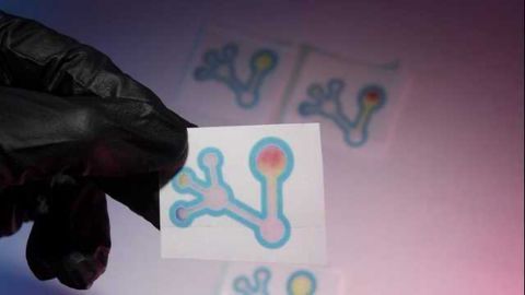 Simple Paper Test Detects False or Substandard Antibiotics