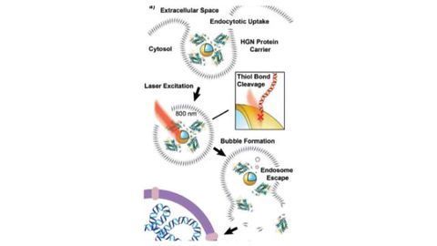 Shining a Light on Photosensitive CRISPR