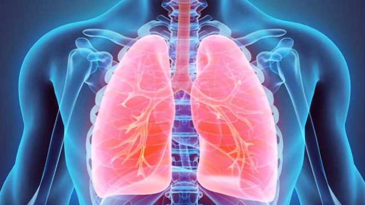 Scientists ID Key Player in Lung Cancer: A Potential Drug Target
