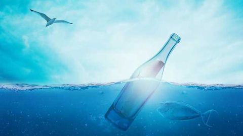 Trace Metals Make a Big Splash with Marine Microorganisms