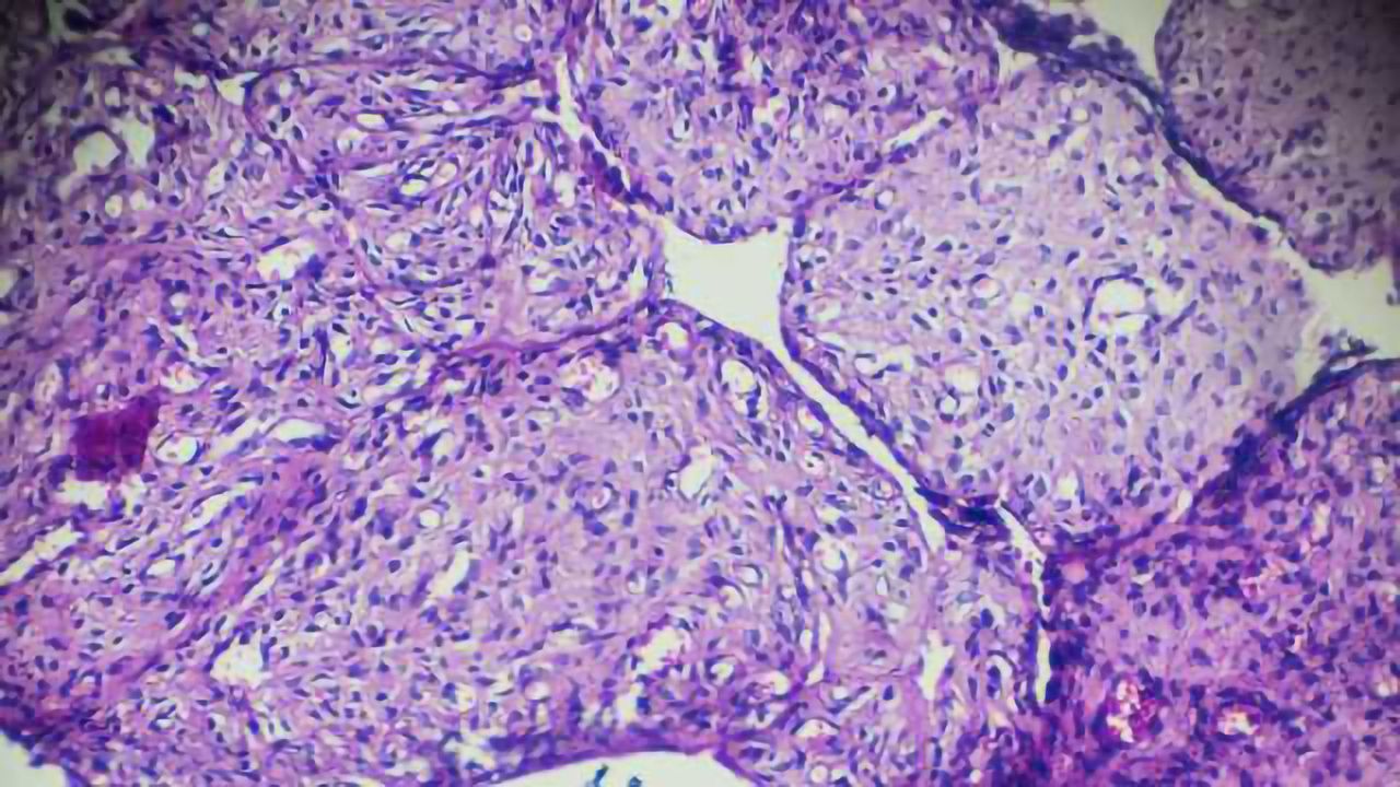 Studying the Genome One Cell at a Time