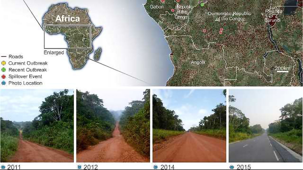 Increased Outbreak Risk With Rapid Development in Central Africa