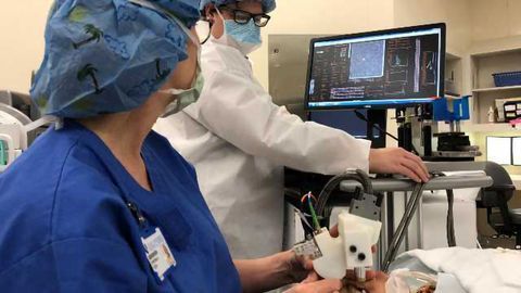 Handheld Imager Gives Window into Tiny Eyes