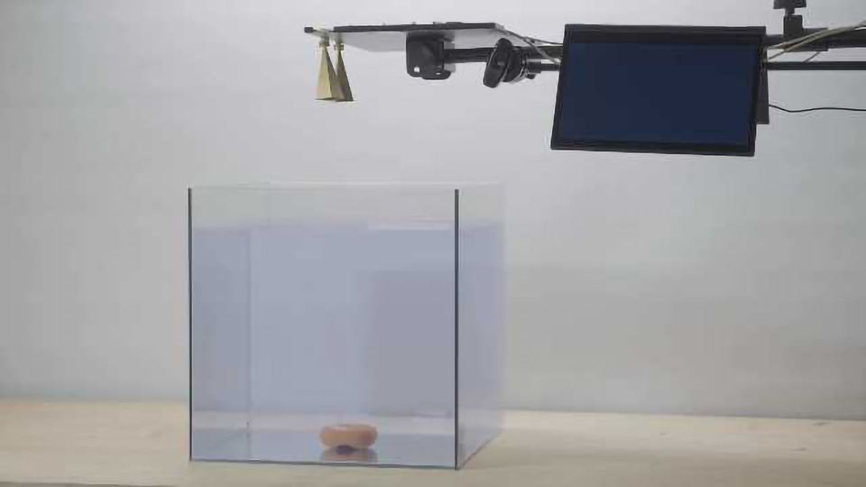 Getting Submarines Talking to Airplanes content piece image