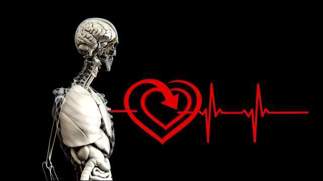 Lifestyle Factors Linked to Brain Health of Young Adults
