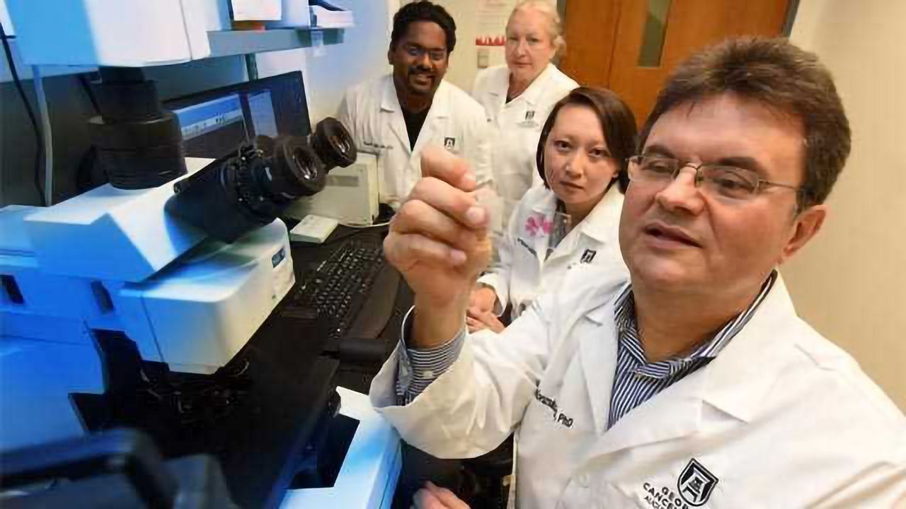 Targeting Receptor Could Prevent Progression of Liver Damage to Cancer