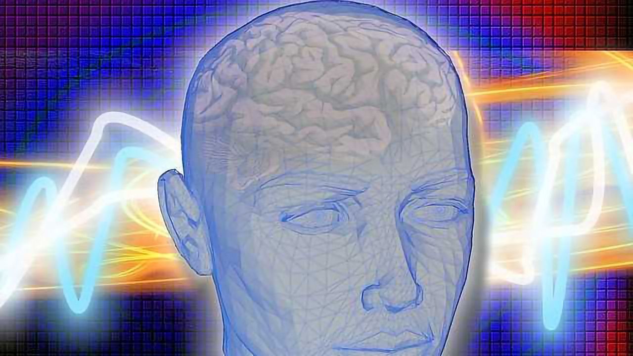Secret Tunnels in the Skull Help Immune Cells Rush to the Rescue