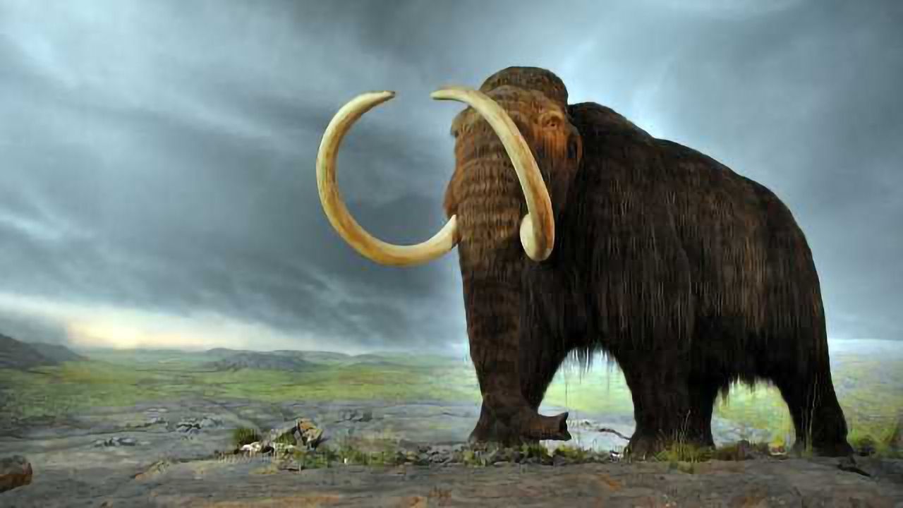 Mutation May Have Helped Mammoths Tolerate the Cold
