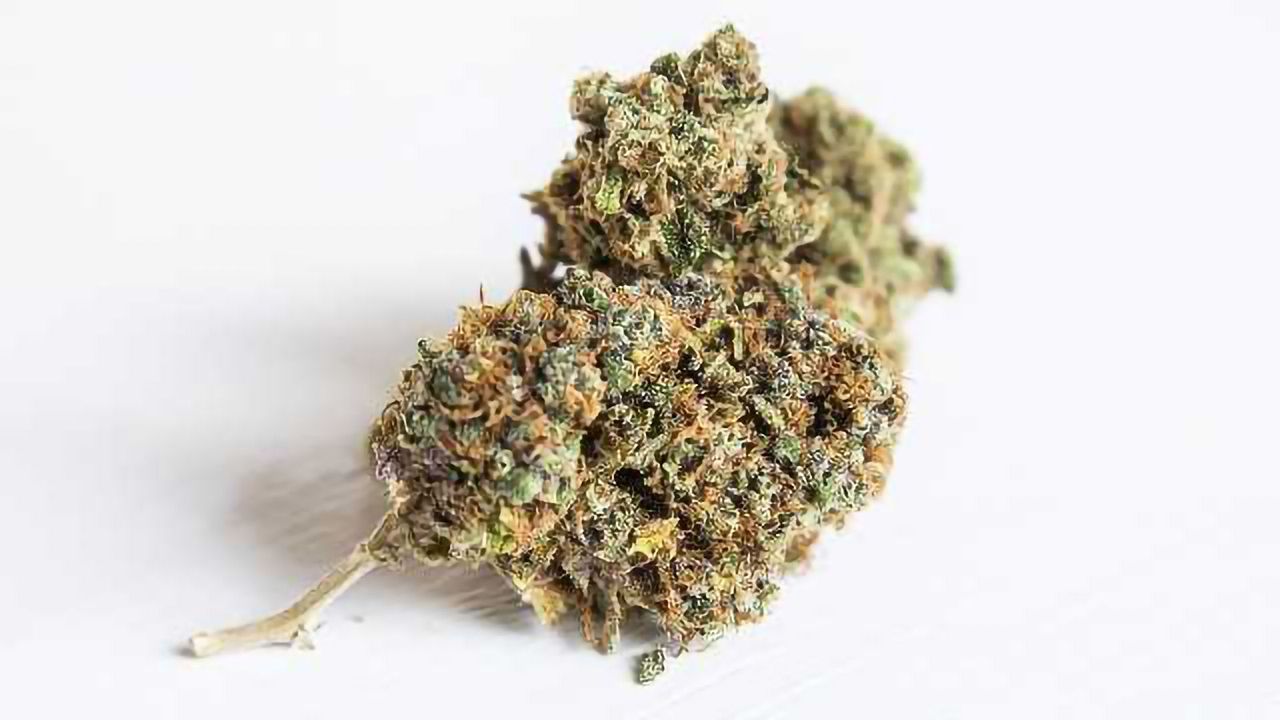 Scientists Identify 35 Genes Associated with Cannabis Use