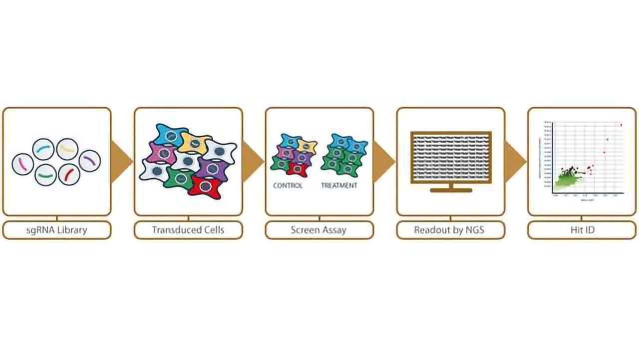 Horizon Discovery Announces Collaboration on single cell RNAseq-linked CRISPR Screening