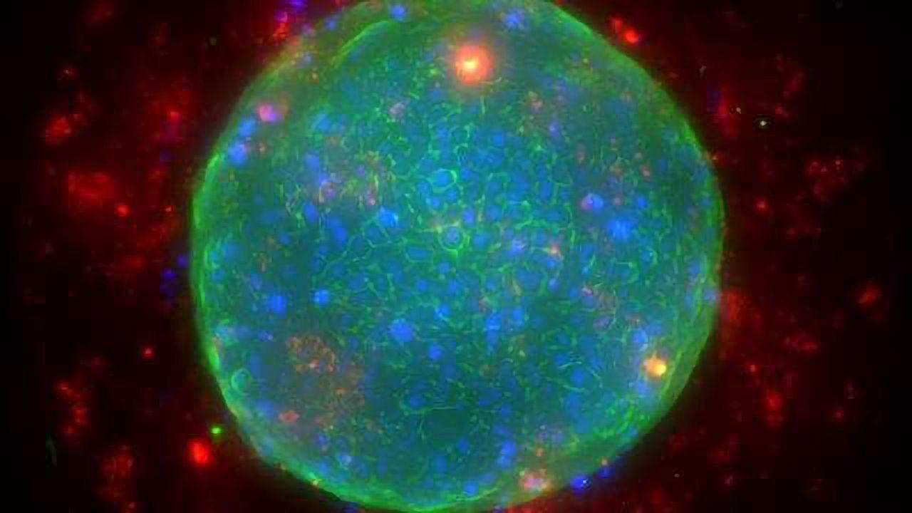 Corning Introduces New 1536-well Spheroid Microplate