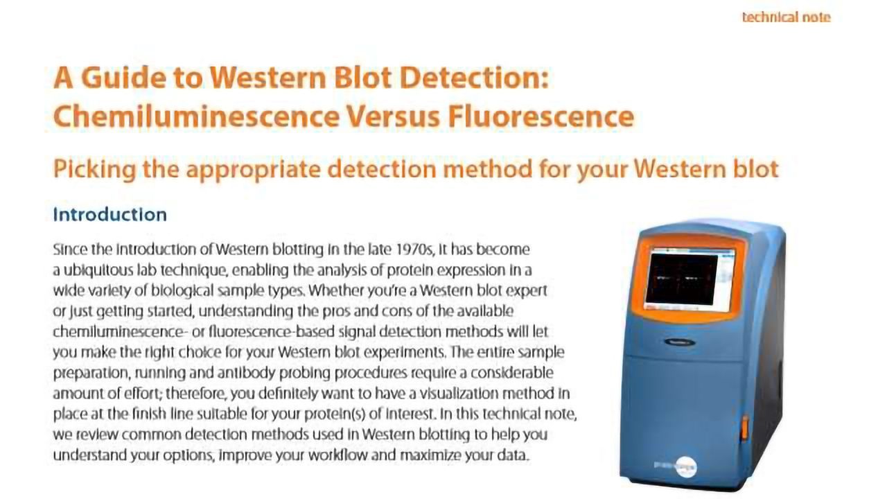 A Guide to Western Blot Detection