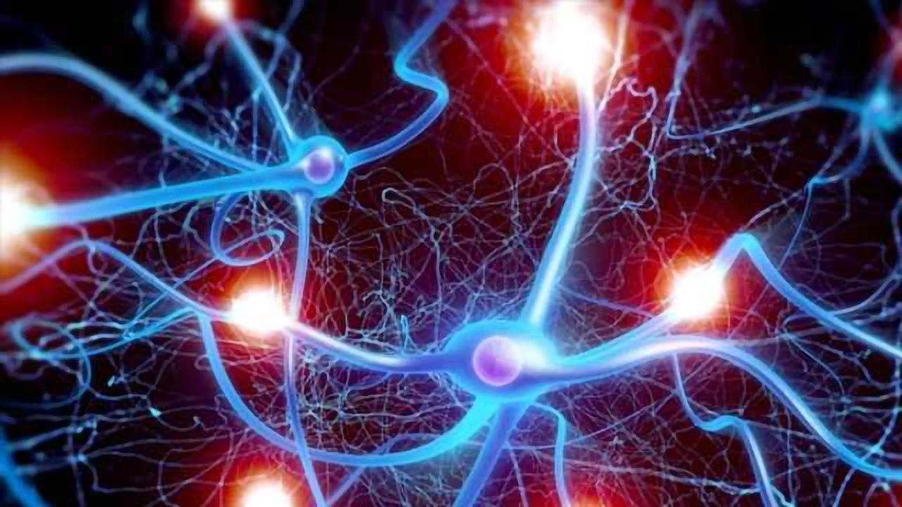 Differences Between Combined & Isolated Use of Cannabis & Nicotine on Brain Networks