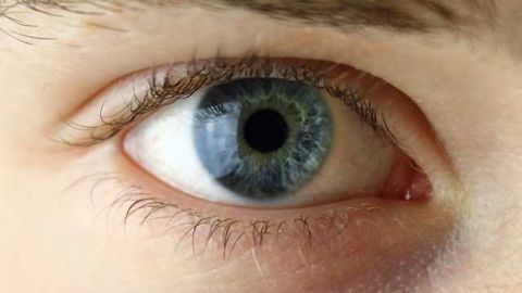 Getting an INSiGHT into Retinal Genes