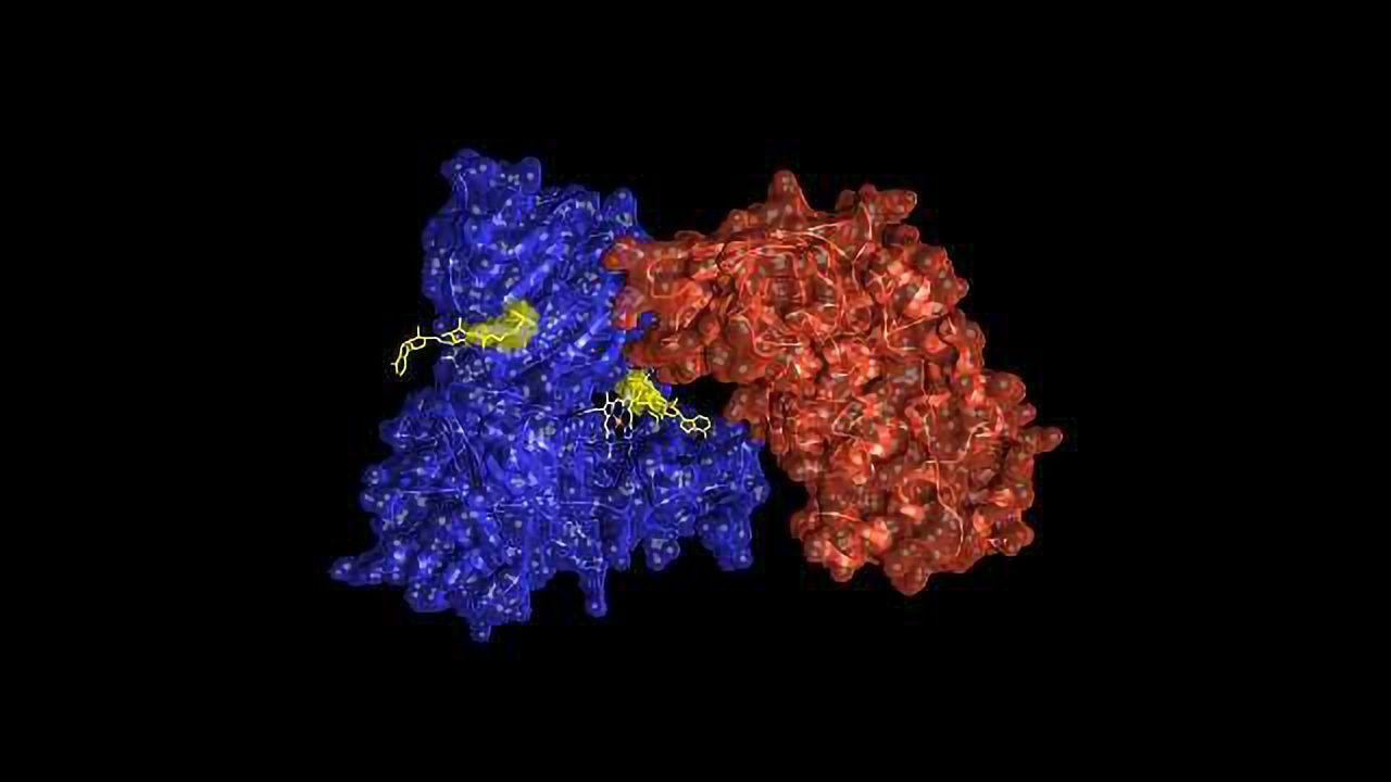 The Protein Changes That Point to Cancer