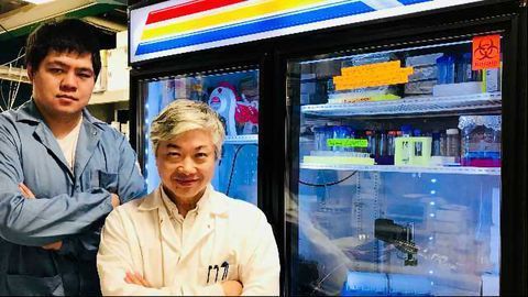 QTY Code Simplifies Membrane Protein Analysis