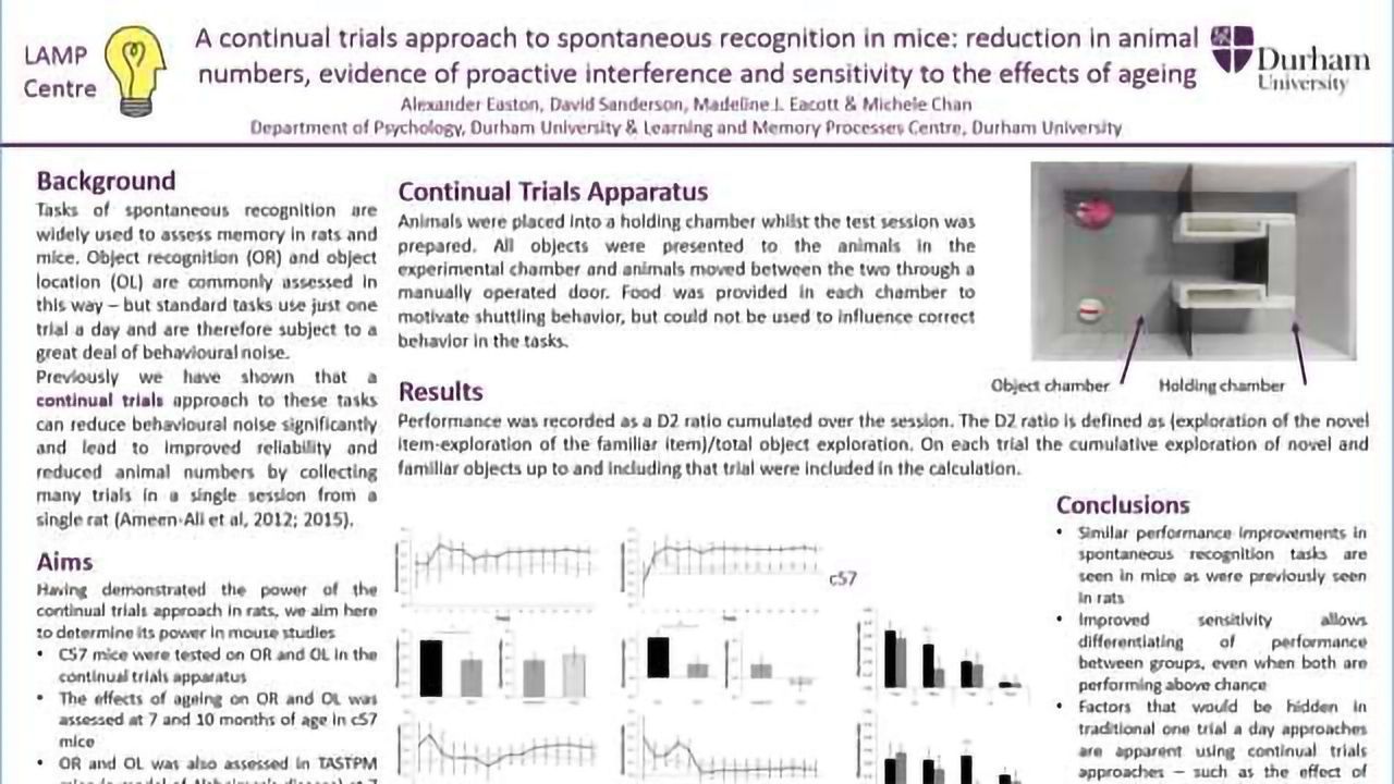 A Continual Trials Approach to Spontaneous Object Recognition in Mice