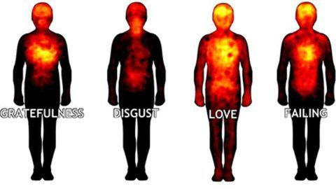 Bodily Sensations Give Rise to Conscious Feelings