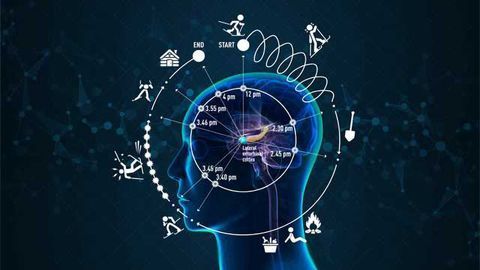 How Your Brain Experiences Time