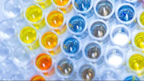 In Vitro Integrity: Maximizing the Value of Plate-Based Assay Data