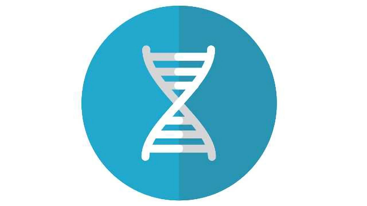 Have We Overestimated How Many Coding Genes We Have?