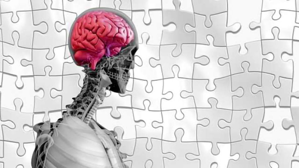 Liver Disease Drug Could Help Restore Cells Damaged by Alzheimer’s content piece image