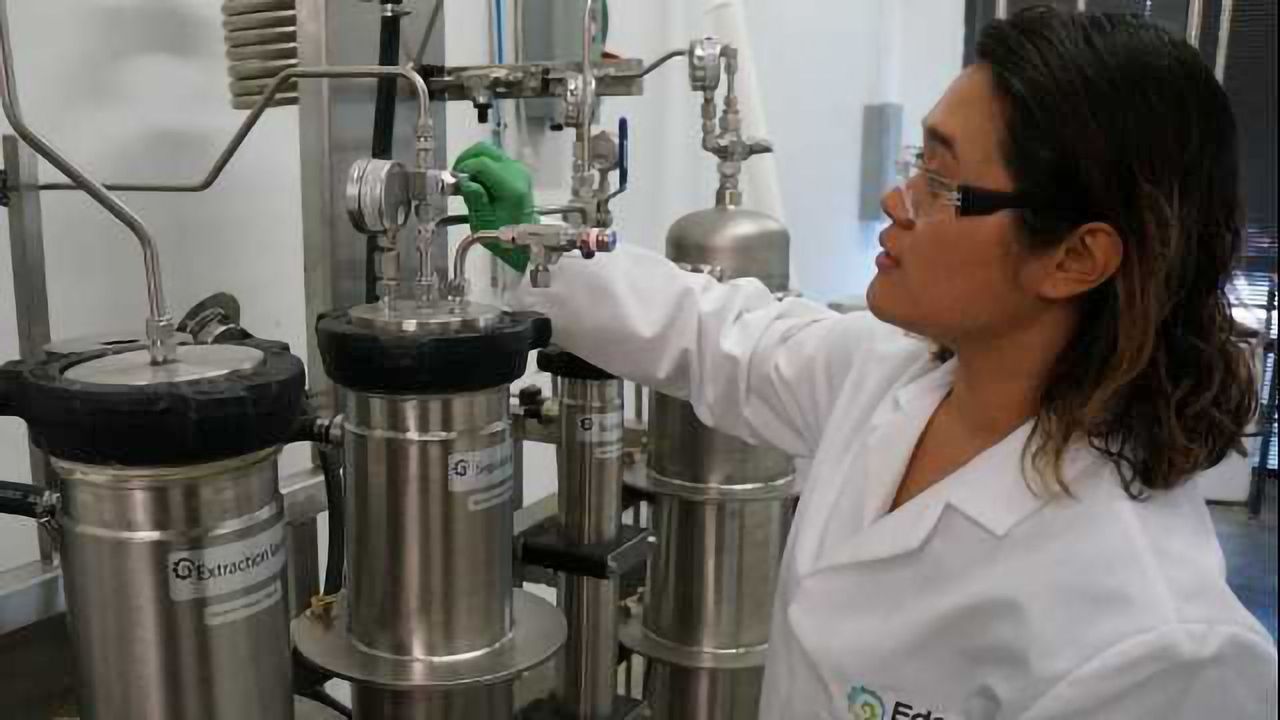 Technology and Challenges in Cannabis Extraction