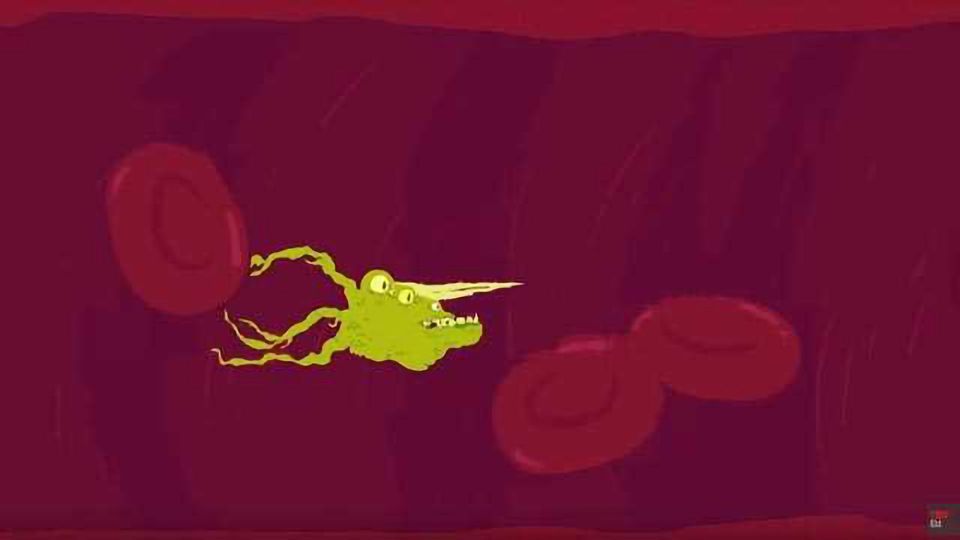 How Does Cancer Spread Through the Body? content piece image