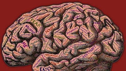You Act Most Like 'You' in a Time Crunch, Study Finds