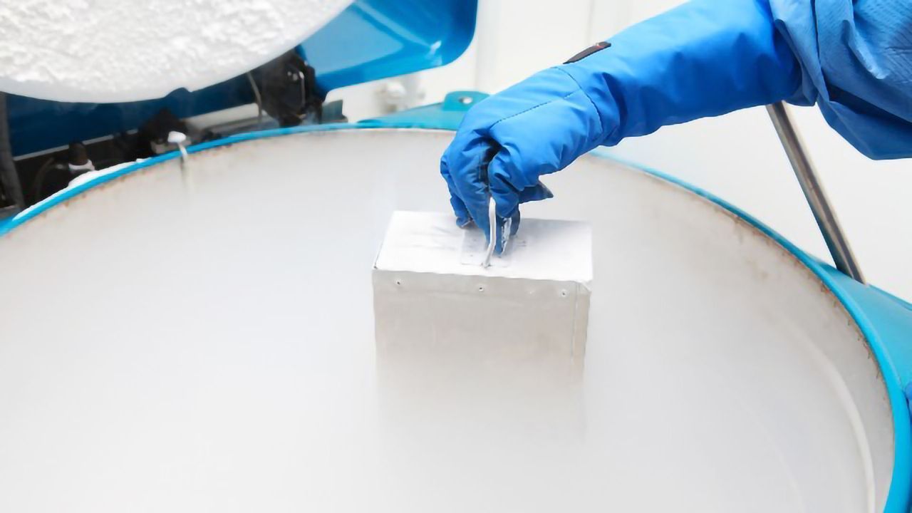 4 Tips for Successful Cryopreservation