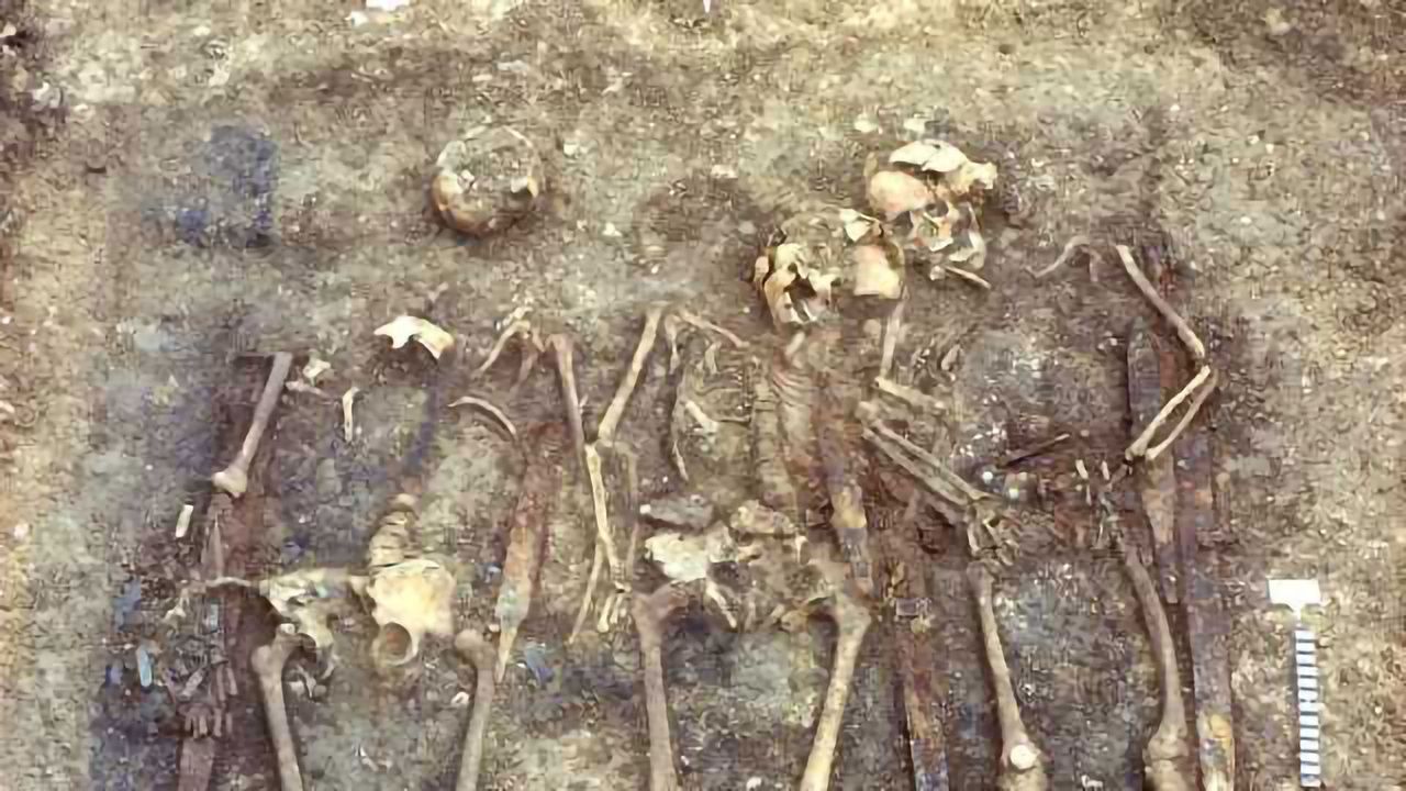DNA Analysis Reveals History of Ancient Warriors