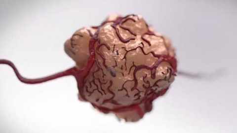 Cancer Cell Biology: Mutated KRAS & Reciprocal Signaling