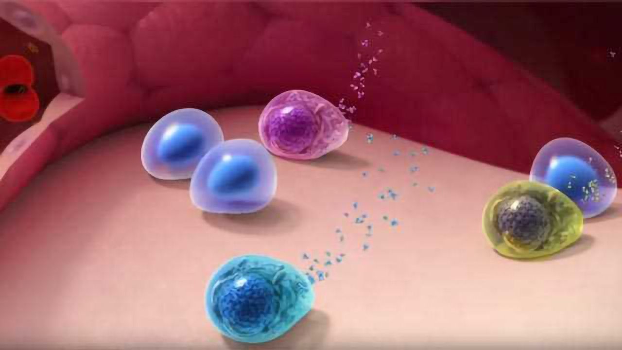Genetic Causes of Myeloma