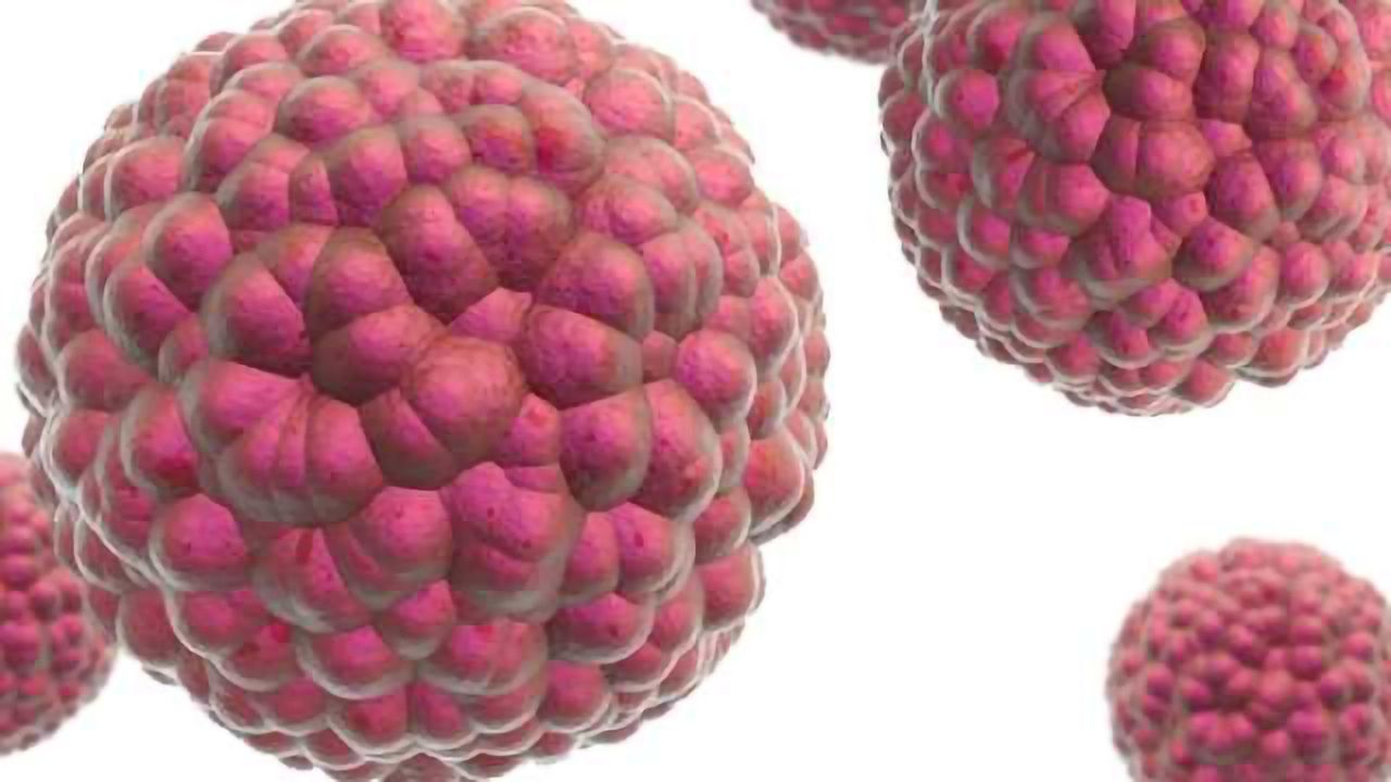 Benefits of Using 3D Cell Models in Drug Discovery