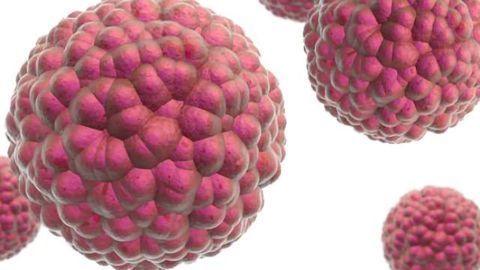 Benefits of Using 3D Cell Models in Drug Discovery
