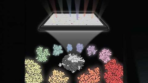 Scanning Many Molecules Against an Elusive Cancer Target