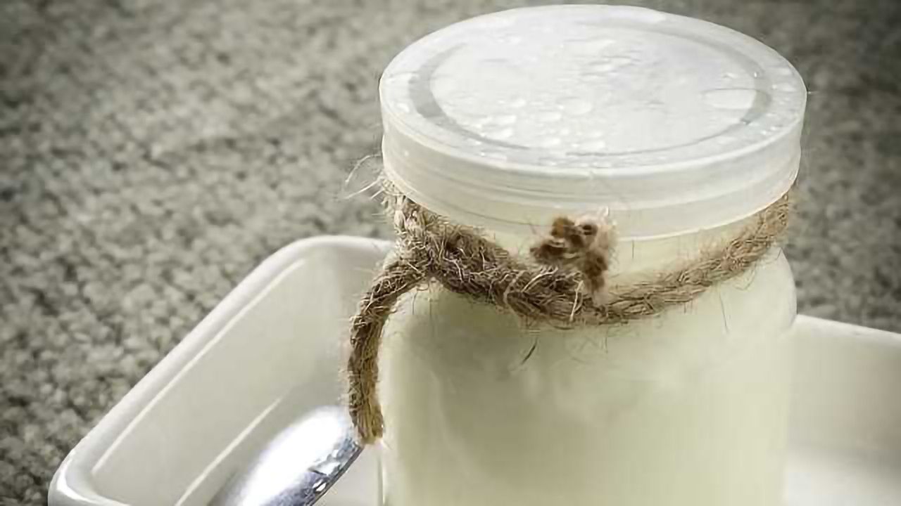 Questions Raised Over Benefits of Common Probiotics