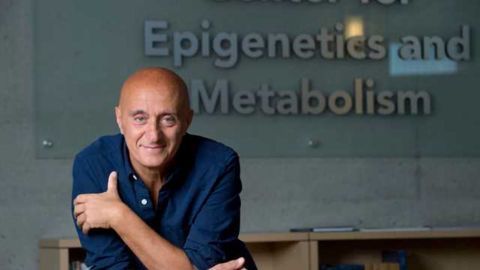 The Metabolic 'Atlas'