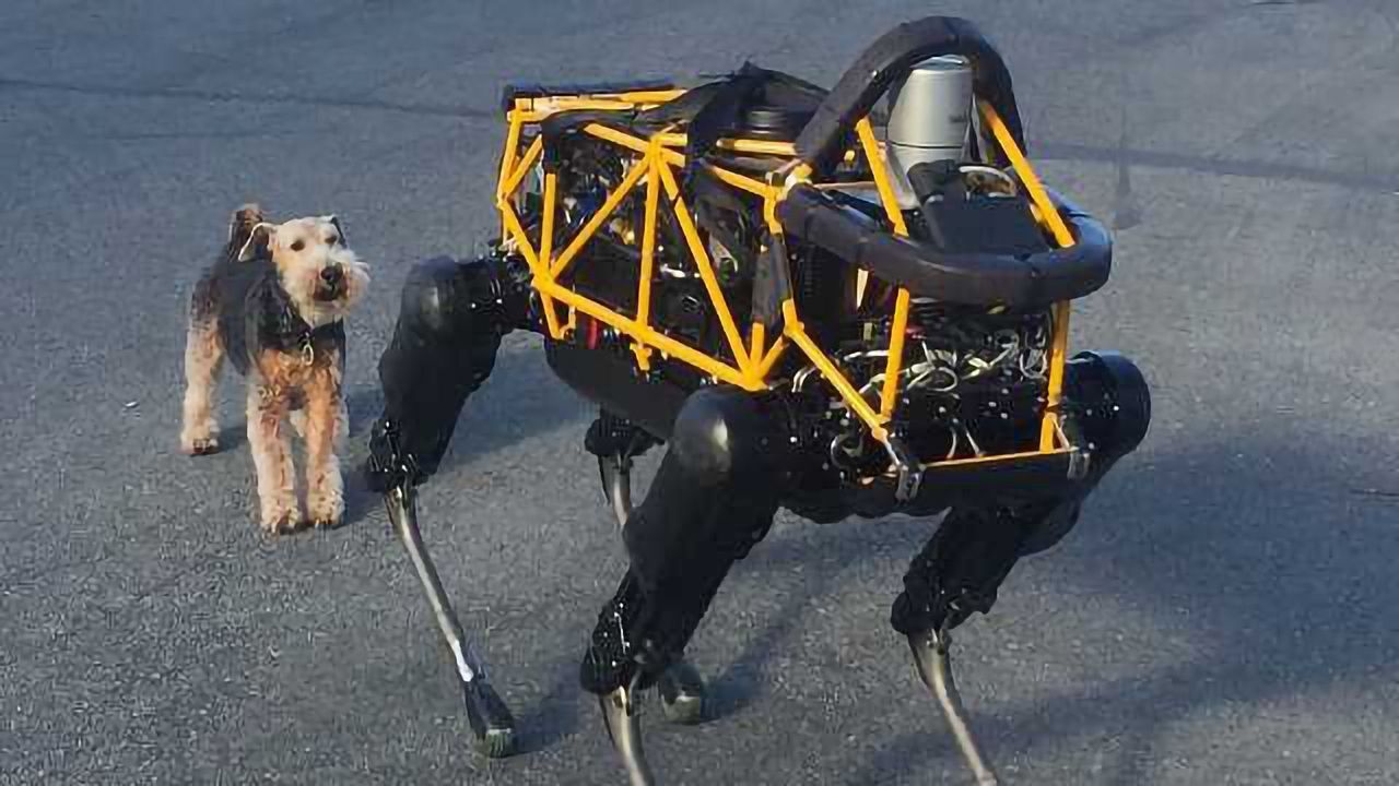 Animal-Friendly Robots Now!